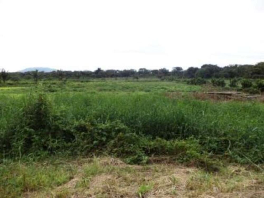 Terreno, 61370 m² - Foto 1