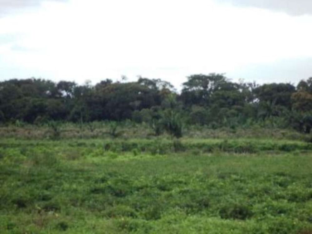 Terreno, 61370 m² - Foto 2