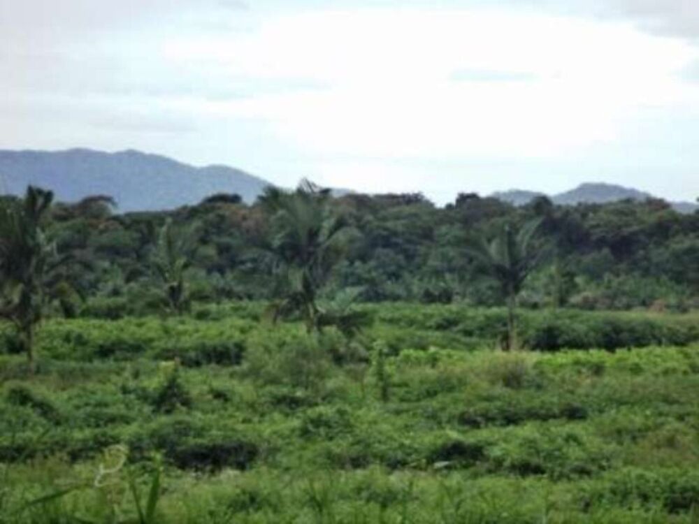 Terreno, 61370 m² - Foto 3