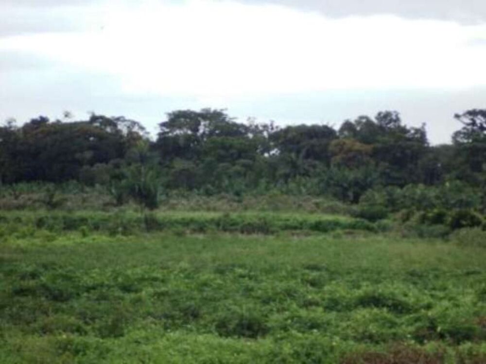 Terreno, 61370 m² - Foto 4