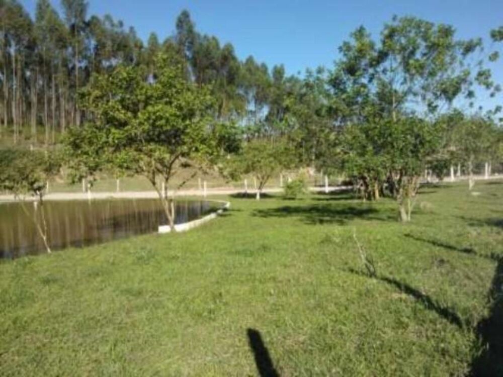 Chácara à venda - Foto 3