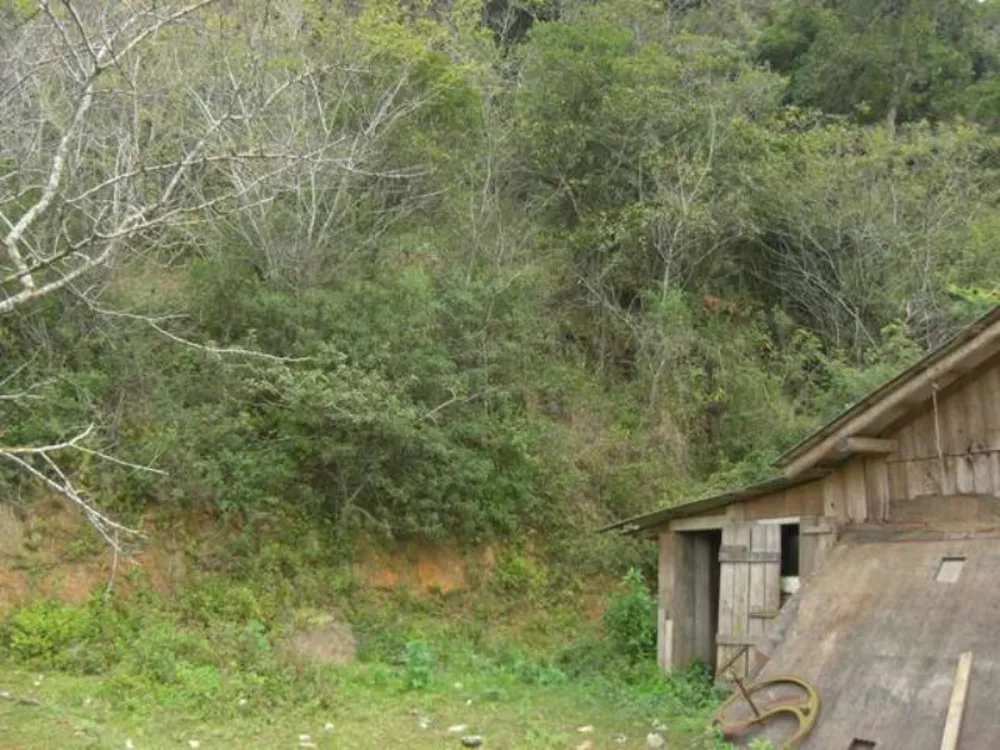 Terreno, 10819 m² - Foto 3