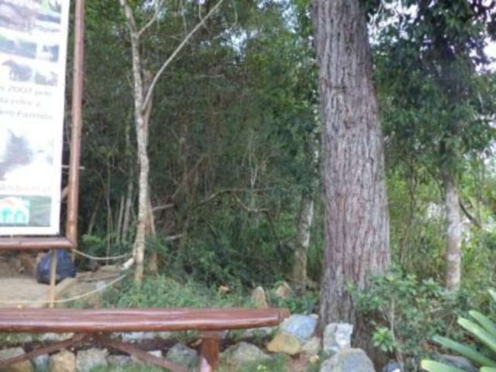 Terreno à venda, 4000m² - Foto 5