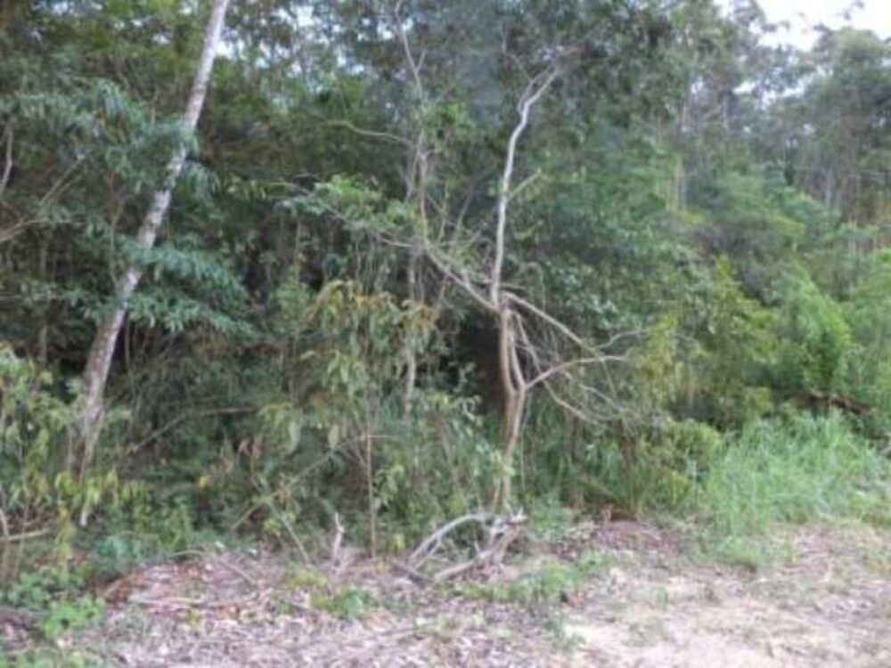 Terreno à venda, 4000m² - Foto 7