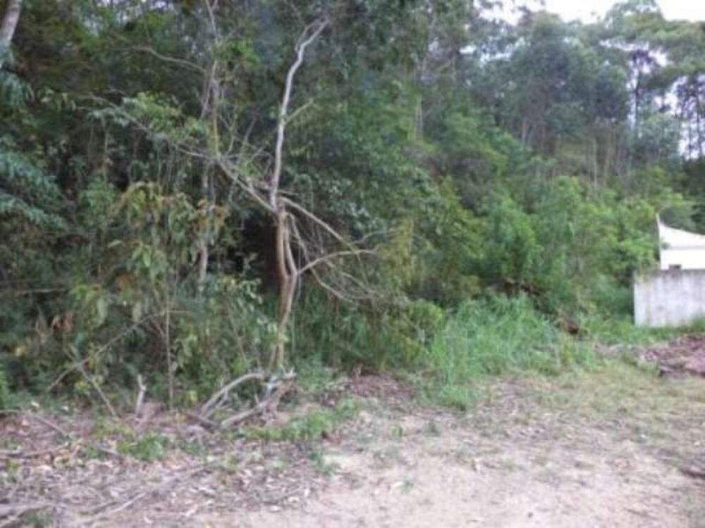 Terreno à venda, 4000m² - Foto 6
