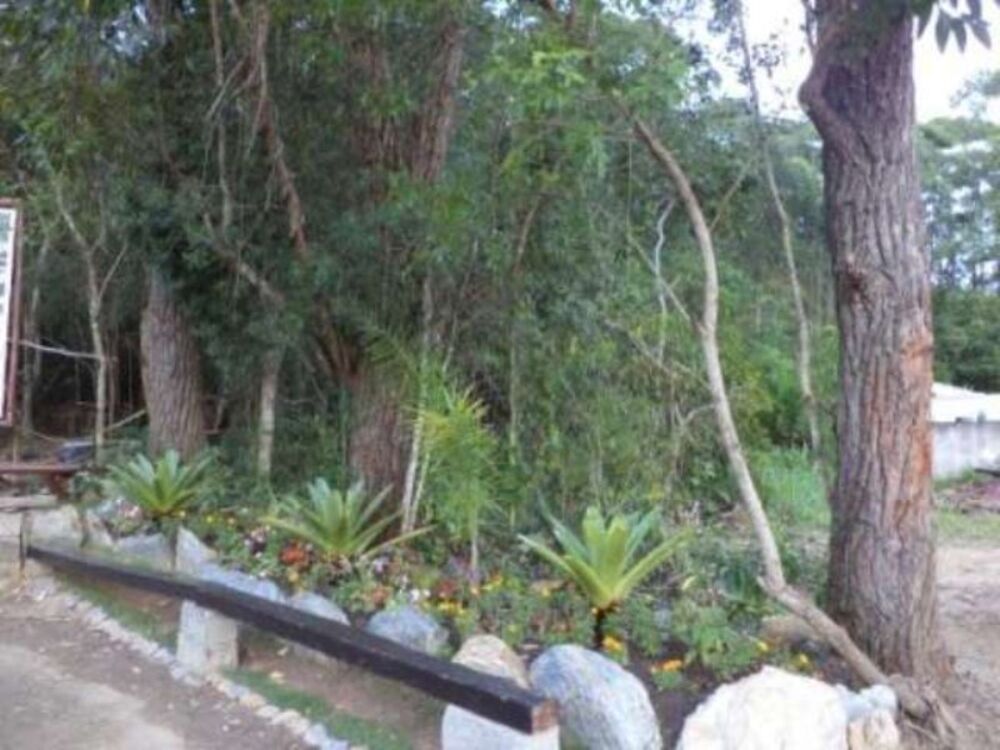 Terreno à venda, 4000m² - Foto 3