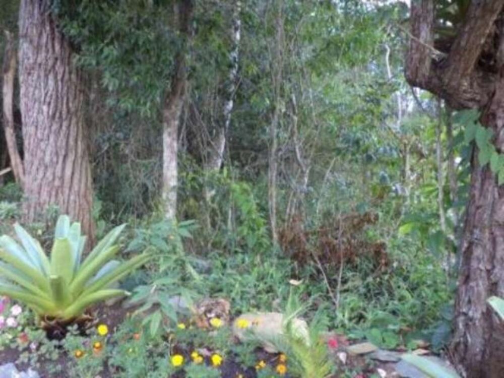 Terreno à venda, 4000m² - Foto 4