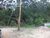 Terreno, 4000 m² - Foto 1