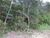 Terreno, 4000 m² - Foto 7