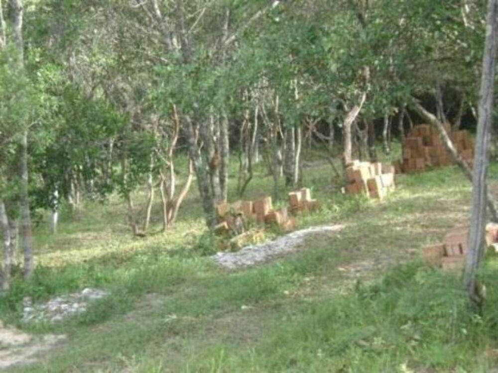 Terreno, 1297 m² - Foto 5