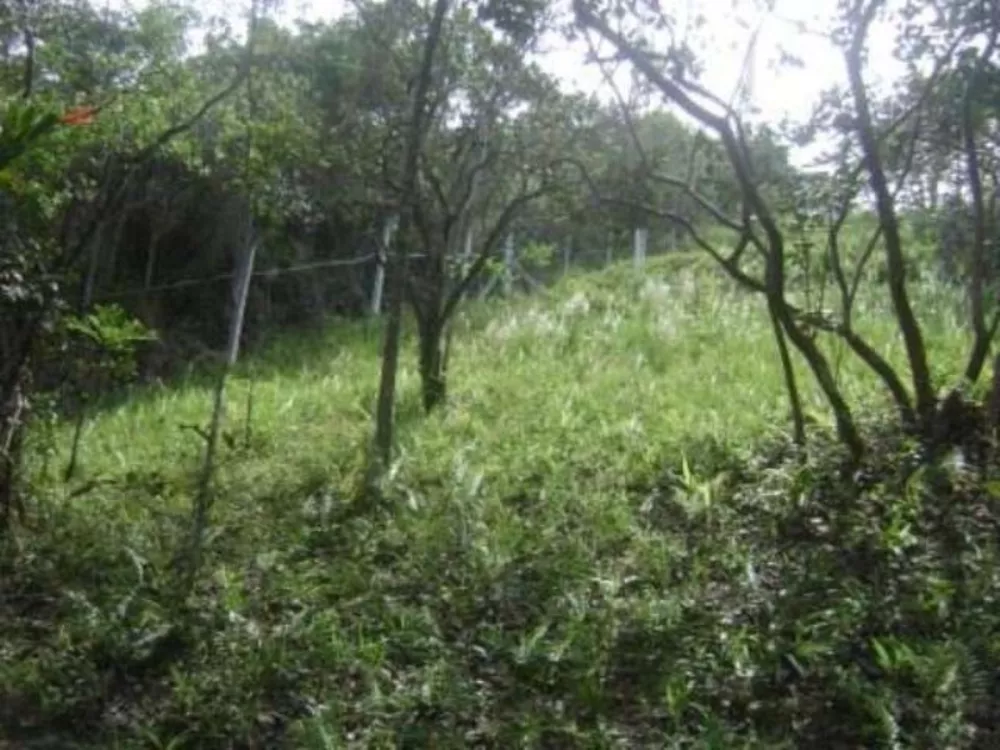 Terreno, 1297 m² - Foto 9