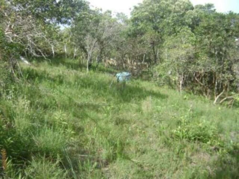 Terreno, 1297 m² - Foto 12