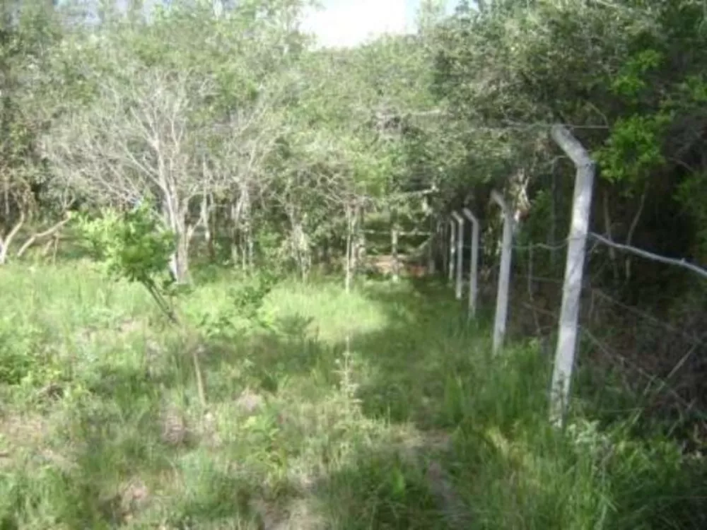 Terreno, 1297 m² - Foto 11