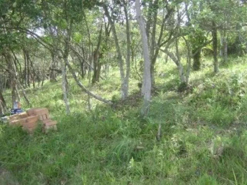 Terreno, 1297 m² - Foto 3