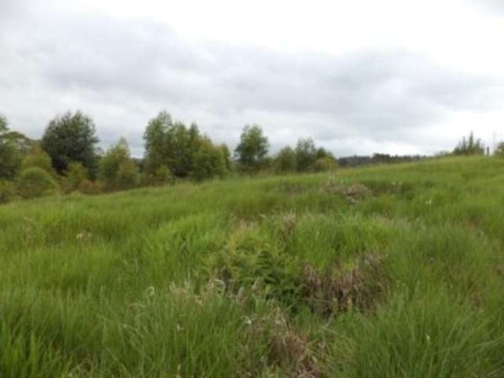 Sítio, 8 m² - Foto 14