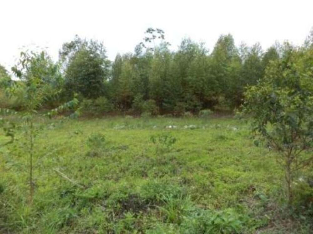 Sítio, 8 m² - Foto 9