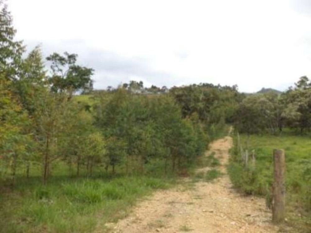 Sítio, 8 m² - Foto 2