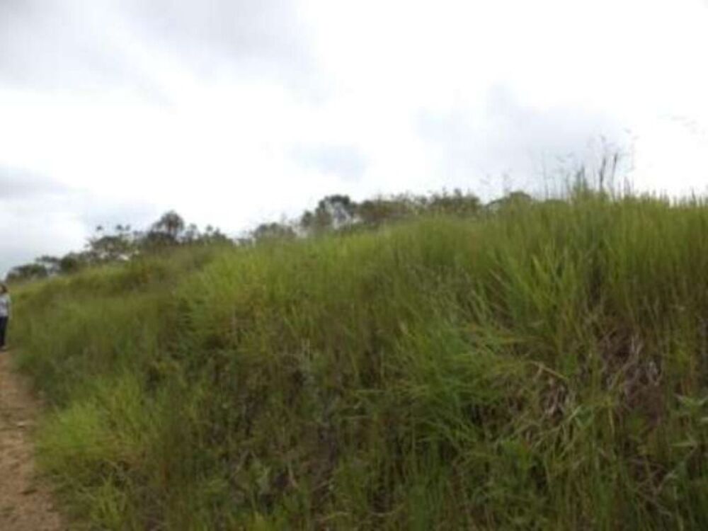 Sítio, 8 m² - Foto 11