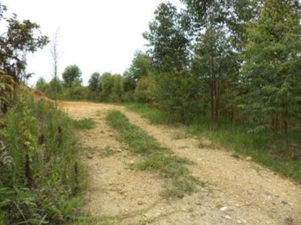 Sítio, 8 m² - Foto 7