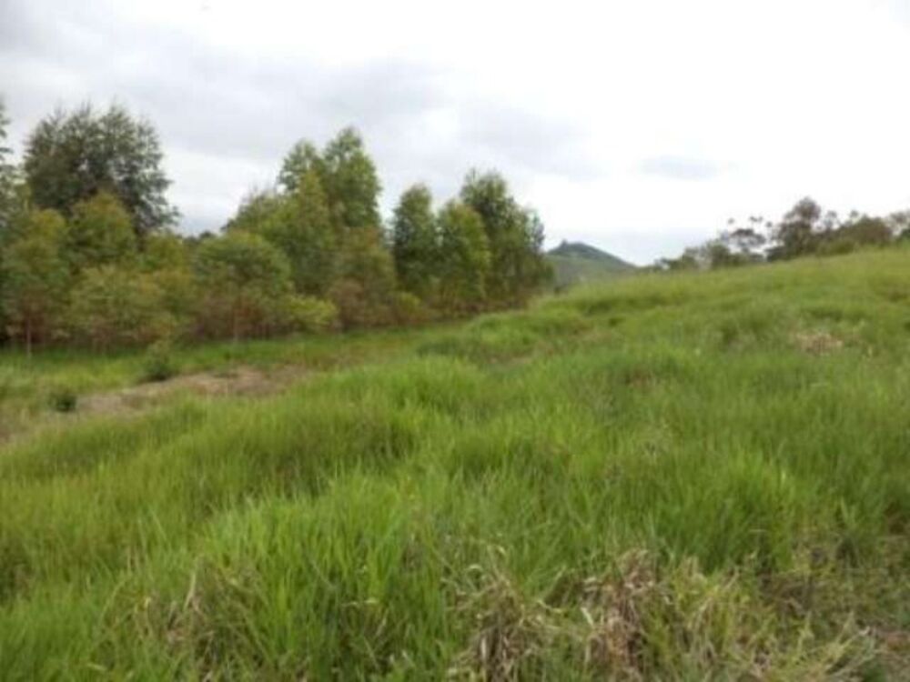 Sítio, 8 m² - Foto 13