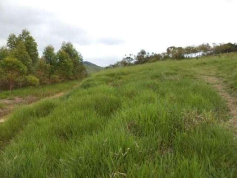 Sítio, 8 m² - Foto 12