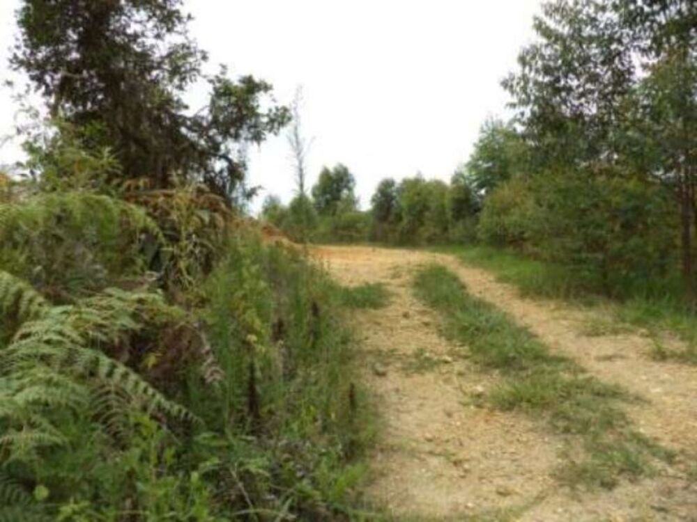 Sítio, 8 m² - Foto 6