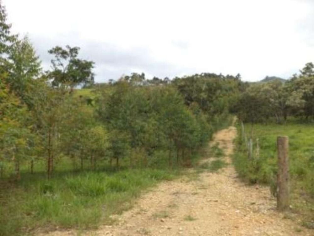 Sítio, 8 m² - Foto 1