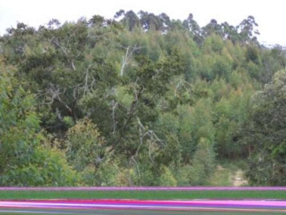 Sítio, 8 m² - Foto 3