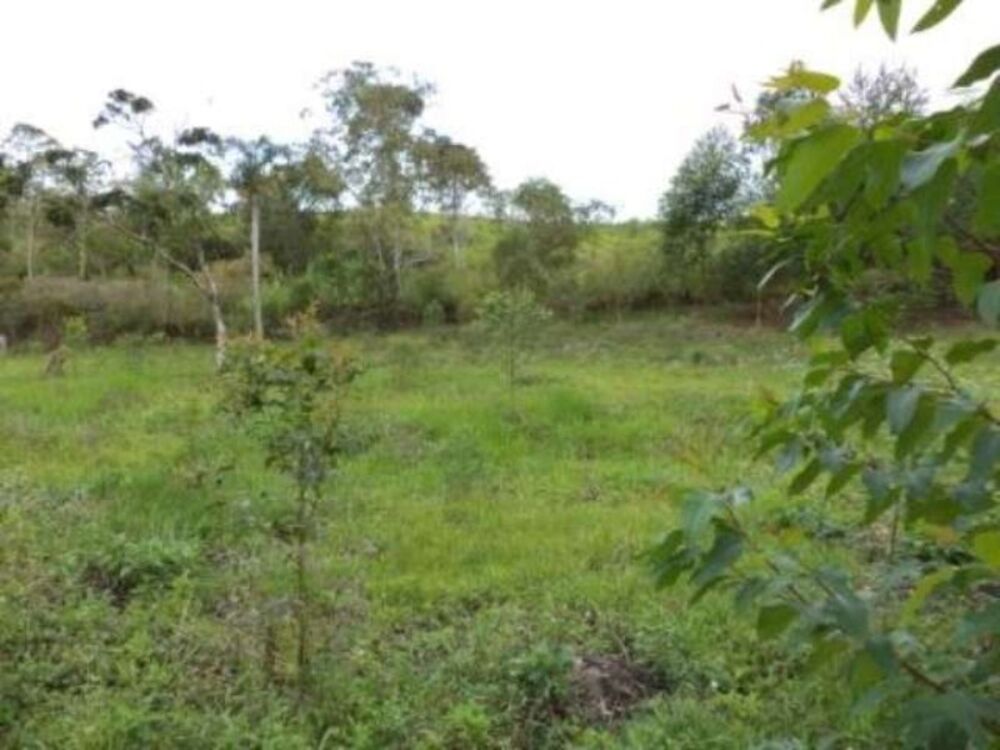 Sítio, 8 m² - Foto 8