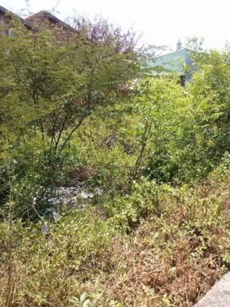 Terreno, 650 m² - Foto 2