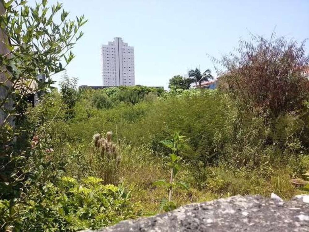 Terreno, 650 m² - Foto 3