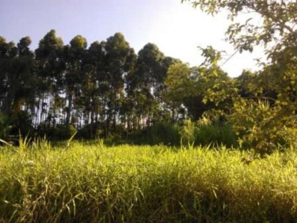 Terreno à venda, 73000m² - Foto 1