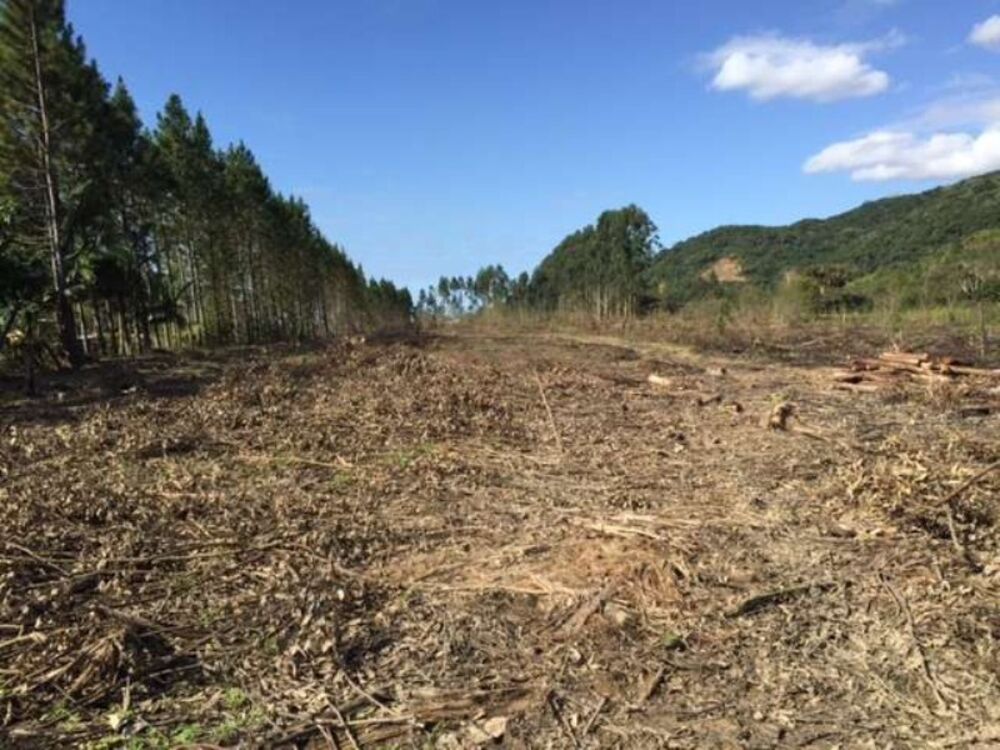 Terreno, 27000 m² - Foto 2