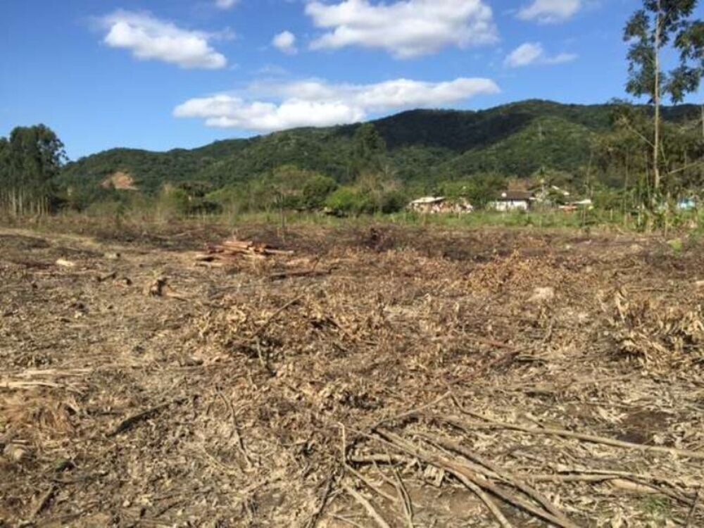 Terreno, 27000 m² - Foto 1