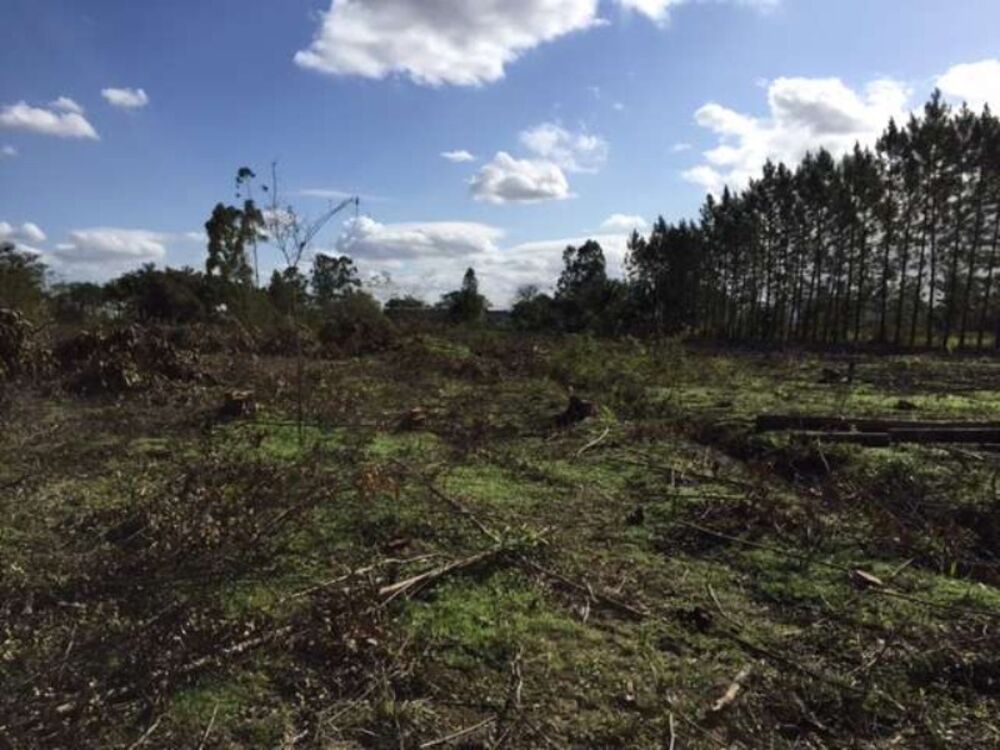 Terreno, 27000 m² - Foto 3