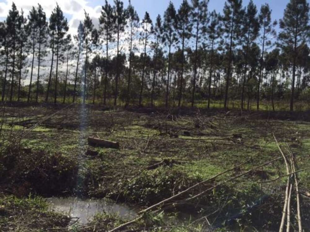 Terreno, 27000 m² - Foto 4