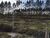 Terreno, 27000 m² - Foto 4