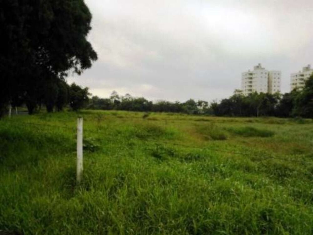 Terreno, 9000 m² - Foto 10