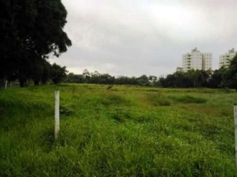 Terreno, 9000 m² - Foto 8