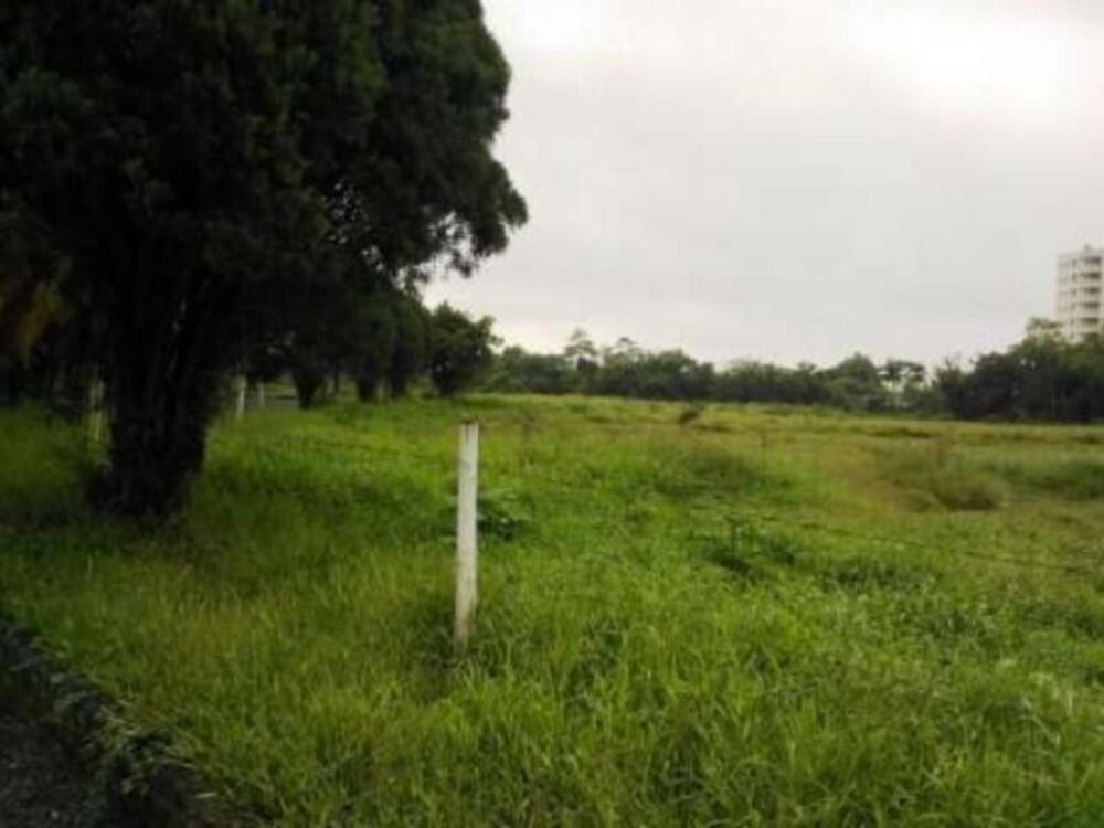 Terreno, 9000 m² - Foto 9