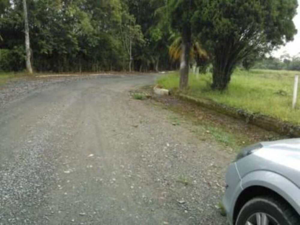 Terreno, 9000 m² - Foto 1