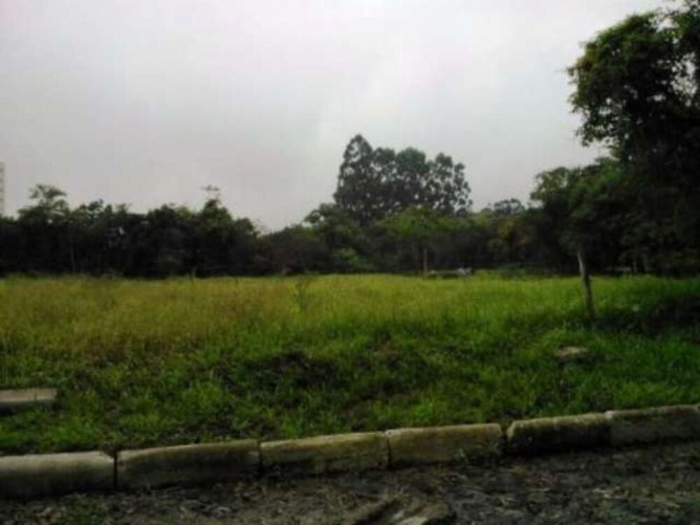 Terreno, 9000 m² - Foto 7