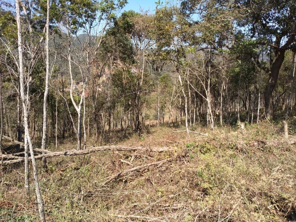 Terreno, 2 hectares - Foto 6