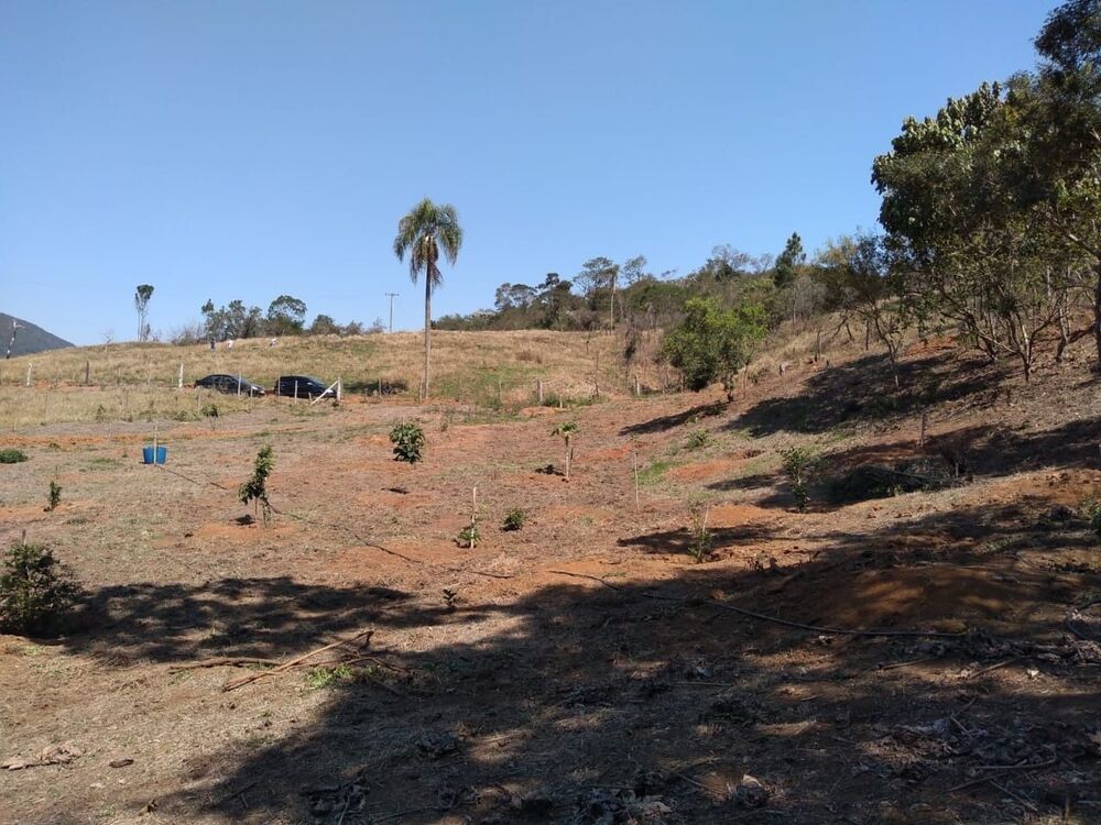 Terreno, 2 hectares - Foto 3