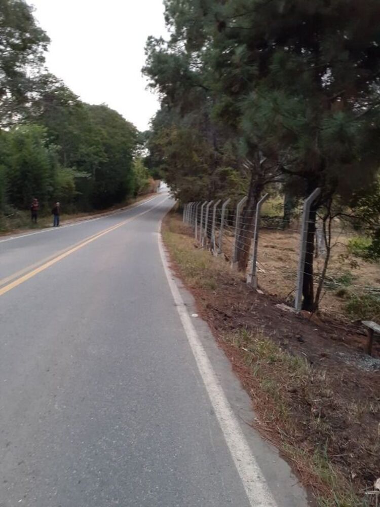 Terreno, 2 hectares - Foto 4