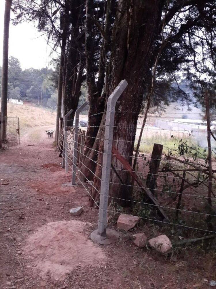 Terreno, 2 hectares - Foto 8