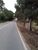 Terreno, 2 hectares - Foto 4