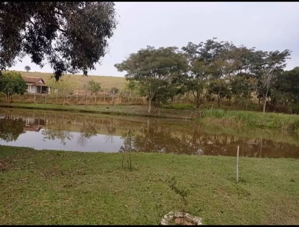 Fazenda à venda com 3 quartos, 13400m² - Foto 4