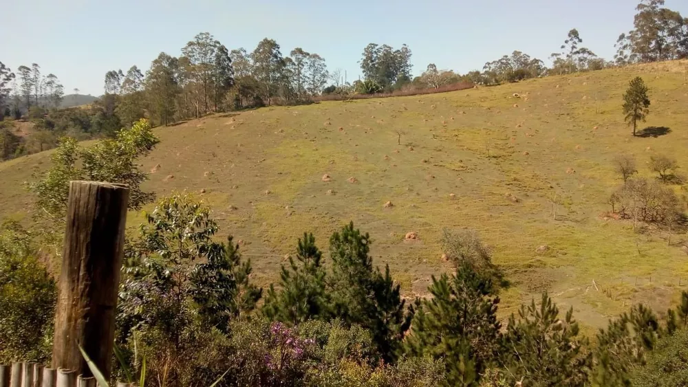 Fazenda à venda com 3 quartos, 250m² - Foto 3