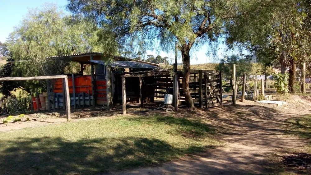 Fazenda à venda com 3 quartos, 250m² - Foto 8